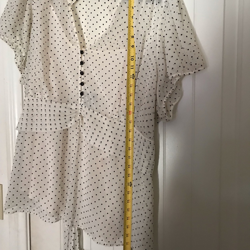 Lane Bryant Sheer Blouse with Under Shell - Picture 9 of 9